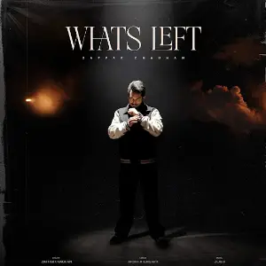 Whats Left Zaffar Chauhan