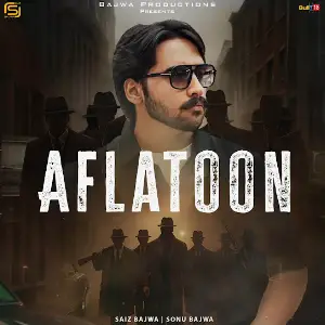 Aflatoon Saiz Bajwa