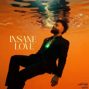 Insane Love Parry Sidhu