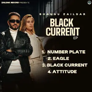 Bhangu Zaildar picture