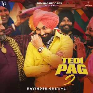 Tedi pag 2 Ravinder Grewal