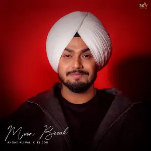 Angad Aliwal picture