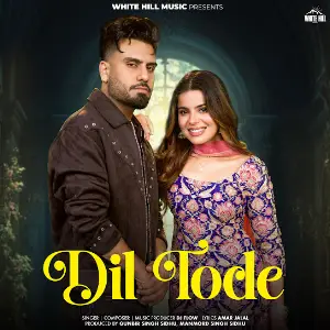 Dil Tode DJ Flow