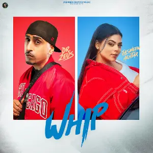 Whip Jasmeen Akhtar