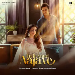 Tu Ik Vaari Aaja Ve Ashique Elahi