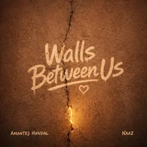 Walls Between Us Amantej Hundal