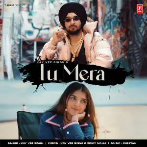 Tu Mera Kay Vee Singh