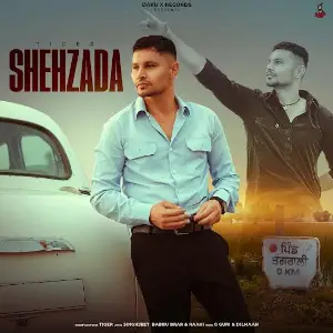Shezada Tiger