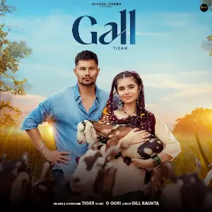 Gall Tiger