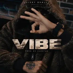 Vibe Vikky Dhall