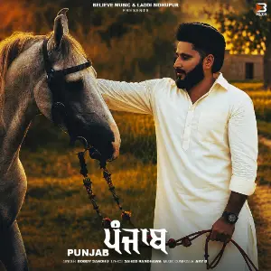 Punjab Bobby Sandhu