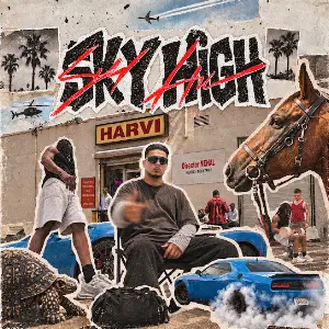 Sky High Harvi