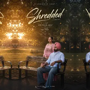 Shredded Amrinder Amry